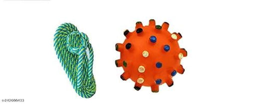 Squeaky Ball Toy for Pet – Pack of 2 | Multicolor Rubber Chew & Play Balls