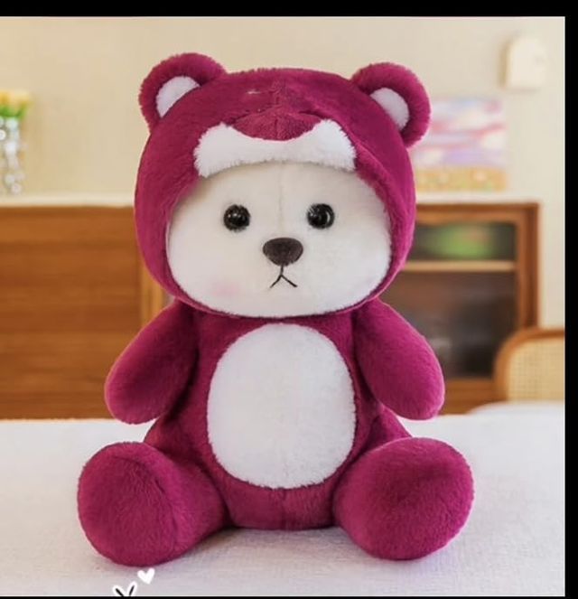 Hoodie Teddy Bear Stuffed Animal – Cute Soft Plush Toy with Hoodie for Kids & Gifting
